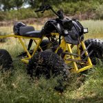 ATV homemade quad bike cheral auto cheral atvx